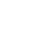 Roman Stone | Nassau-County-Department-of-Public-Works logo