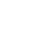 Roman Stone | National_Grid logo