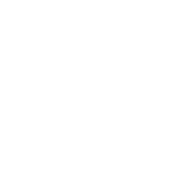 Roman Stone | New York City Dot logo