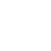 Roman Stone | Port Authority NY NJ logo