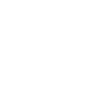 Roman Stone | con-edison-logo