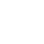 Roman Stone | dcas logo