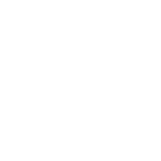 Roman Stone | mta-logo