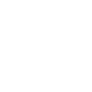 Roman Stone | nkt-logo