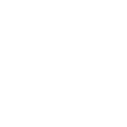 Roman Stone | npca-logo