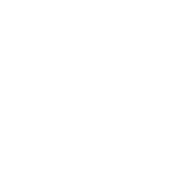 Roman Stone | npca-logo