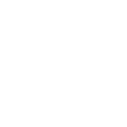 Roman Stone | orsted-logo