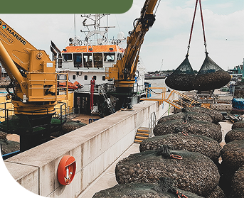 Roman Stone | Coastal Protection Image-1