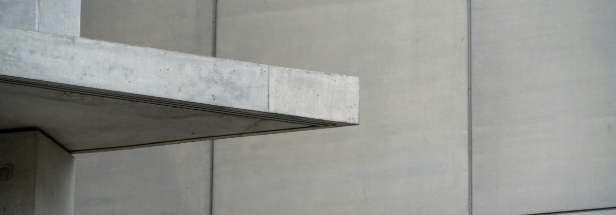 A bird is perched on the ledge of a building